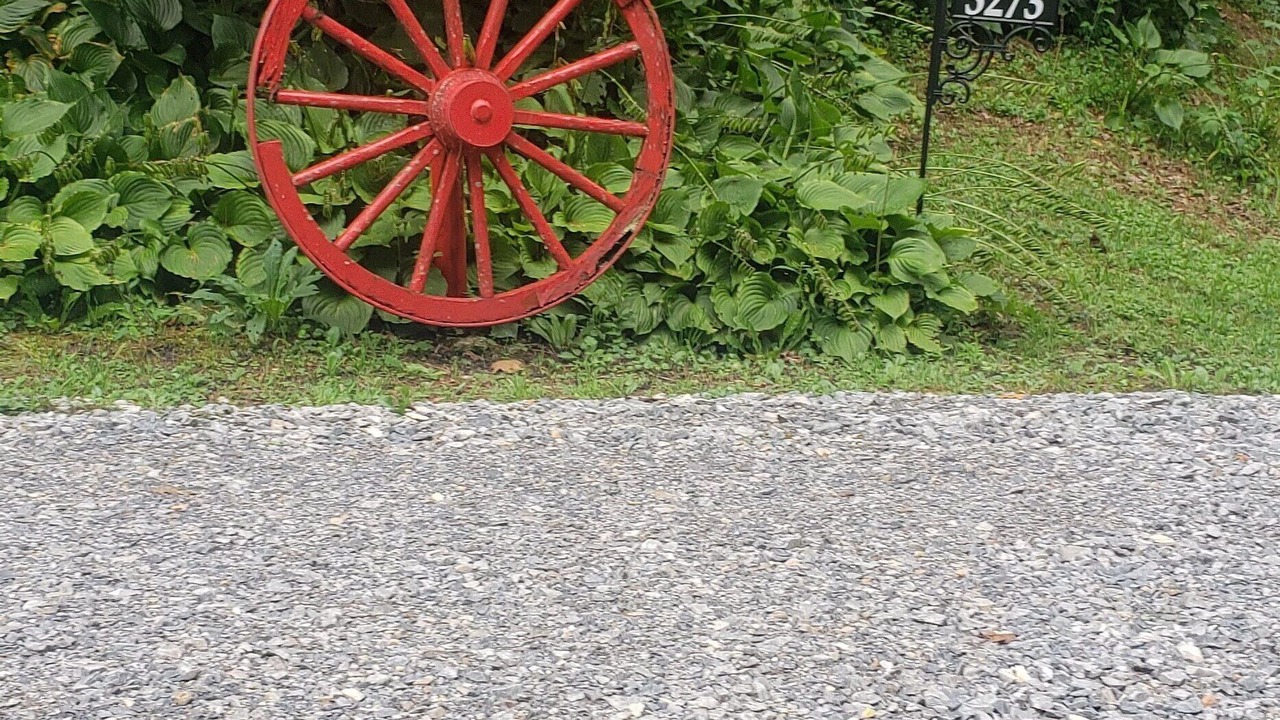 Photo of Outdoor in Frank