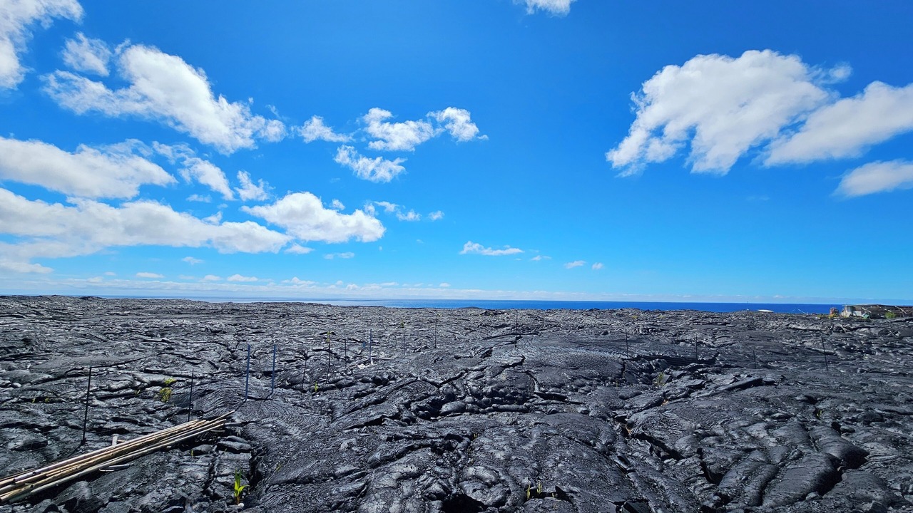 Photo of Others in Pahoa
