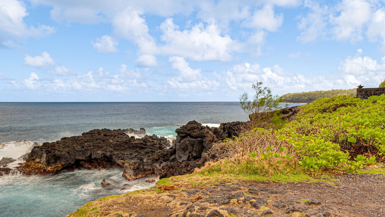 Photo of Others in Kapoho