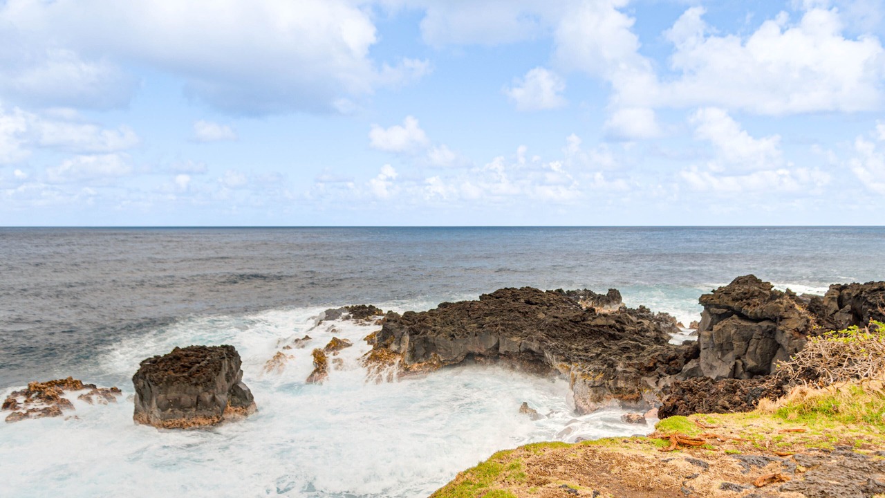Photo of Others in Kapoho