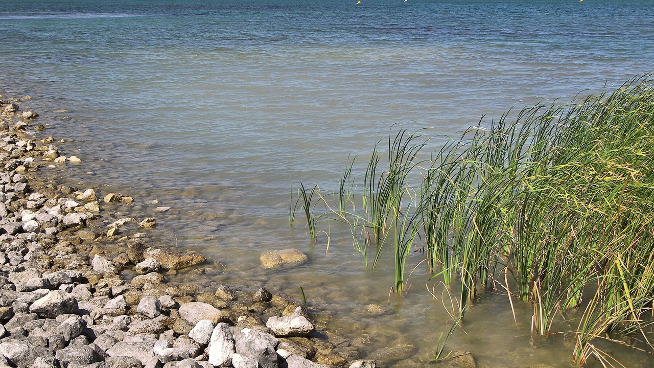 Photo of Outdoor in Pflugerville