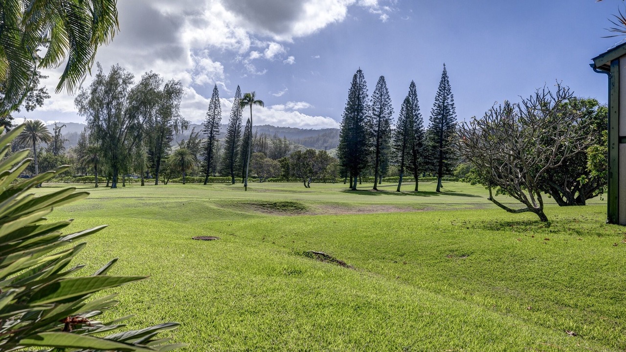 Photo of Others in Kahuku