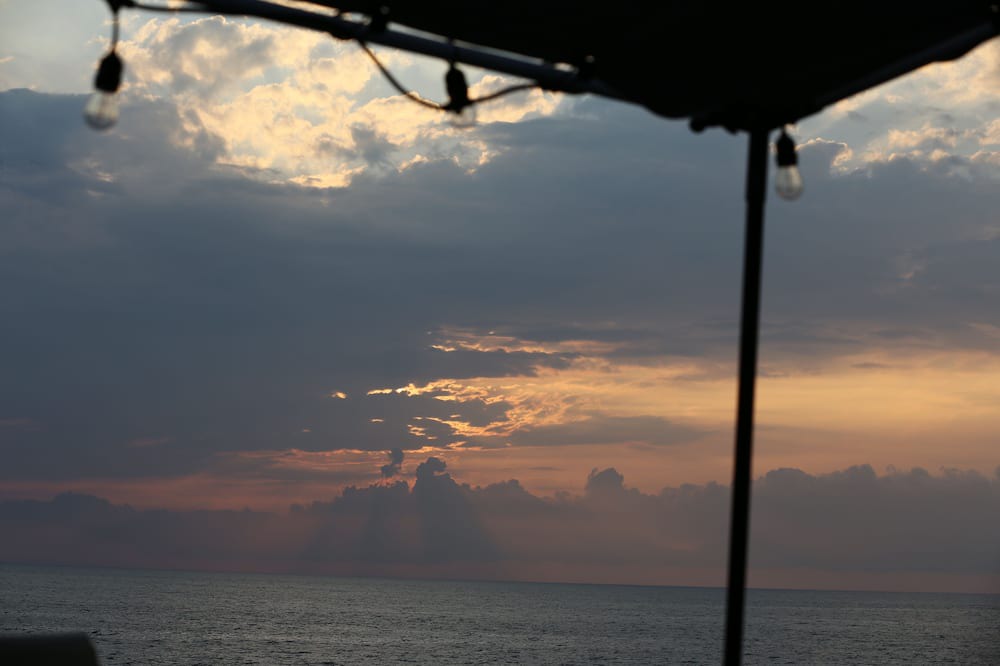 Photo of Others in Captain Cook
