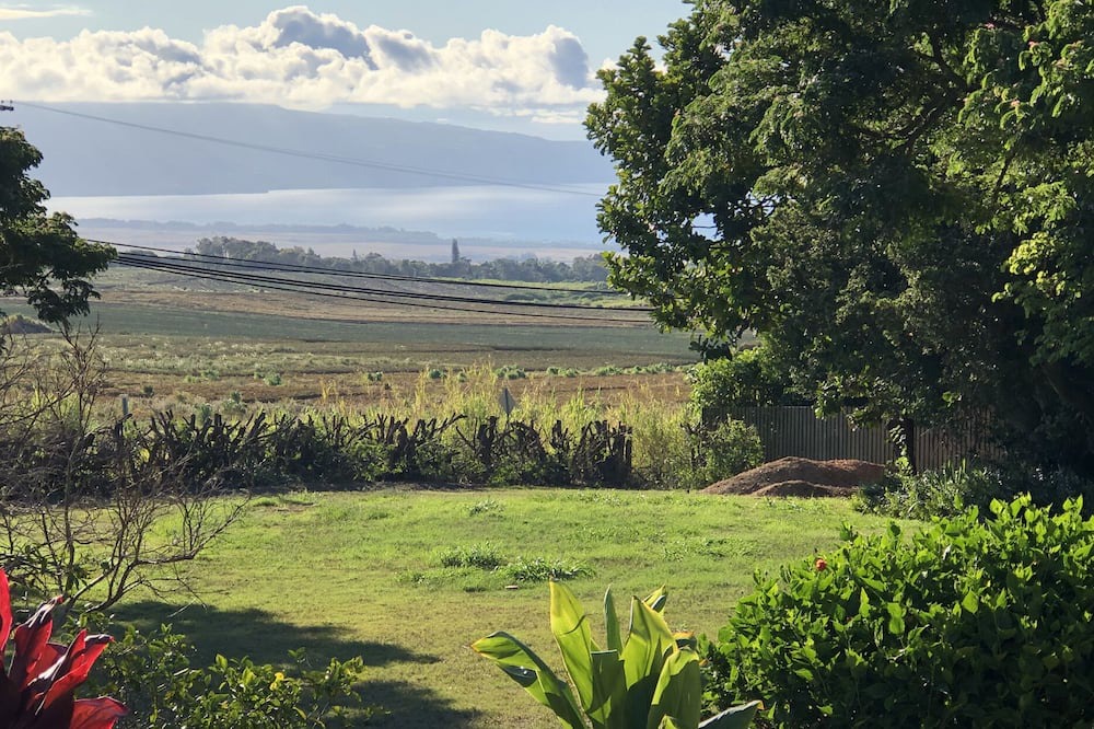 Photo of Others in Makawao