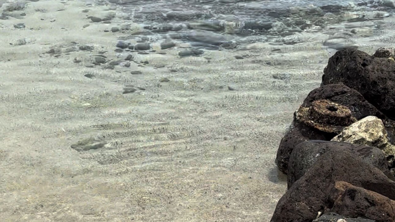 Photo of Others in Hauula