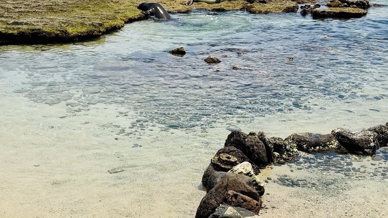 Photo of Others in Hauula