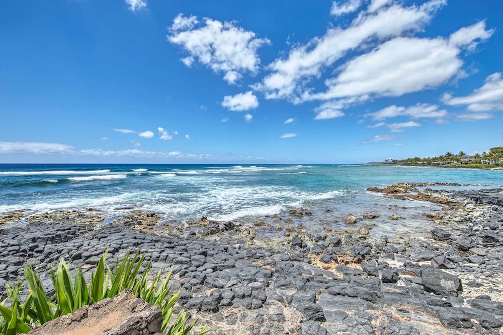 Photo of Others in Poipu