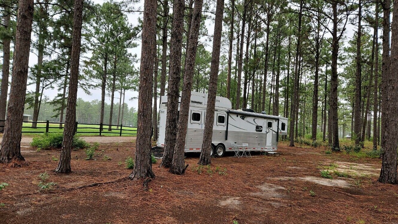 Photo of Outdoor in Vass