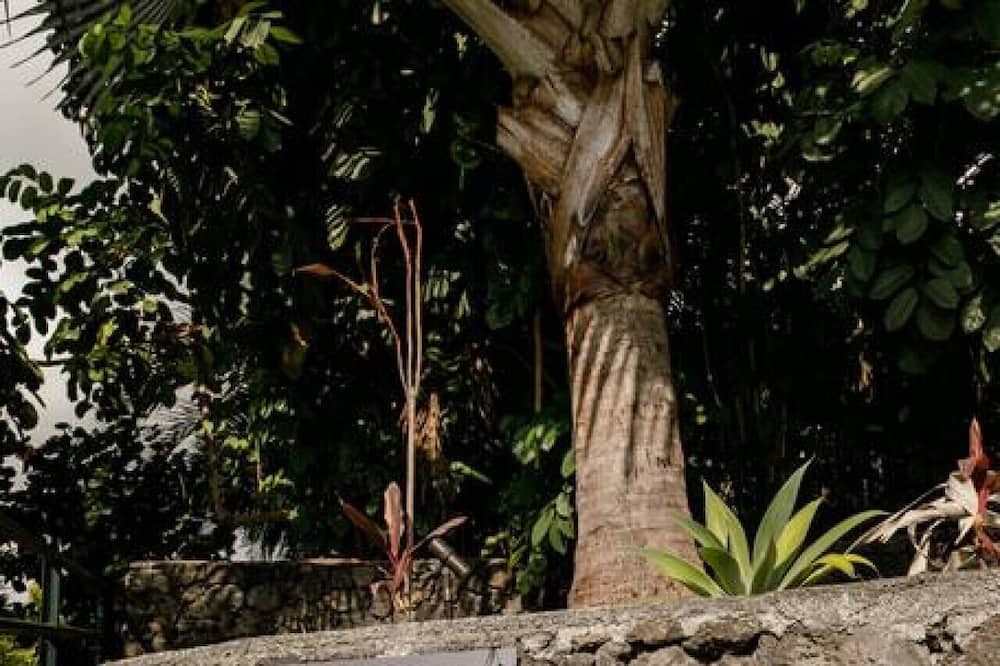 Photo of Outdoor in Honaunau-Napoopoo