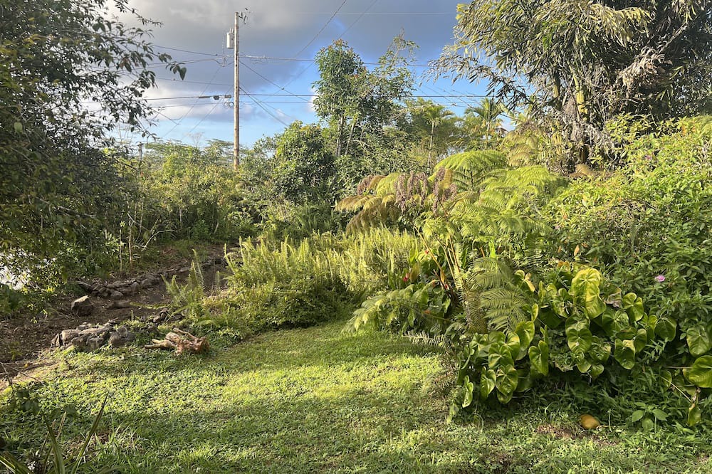 Photo of Outdoor in Keaau