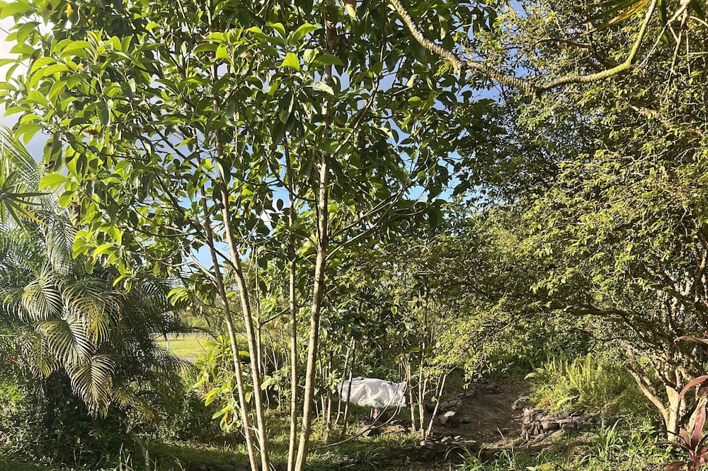 Photo of Outdoor in Keaau
