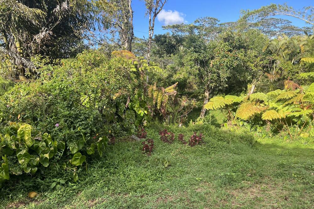 Photo of Outdoor in Keaau