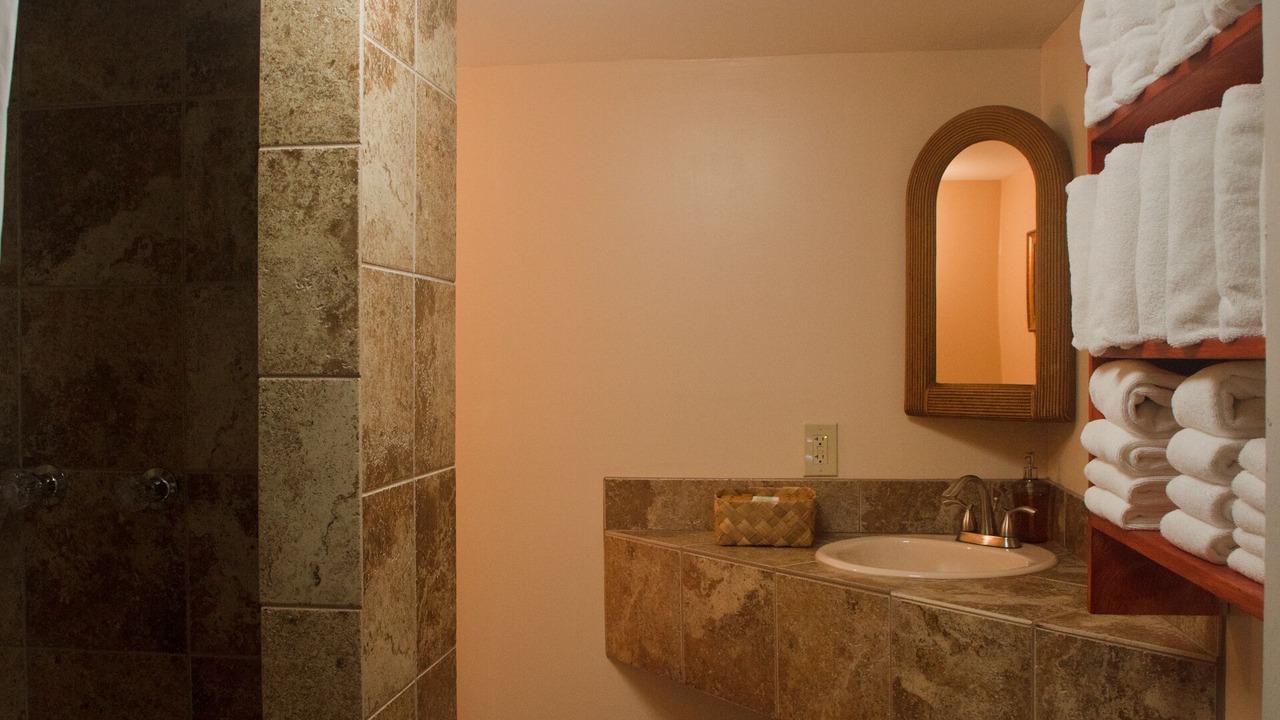 Photo of Bathroom in Volcano