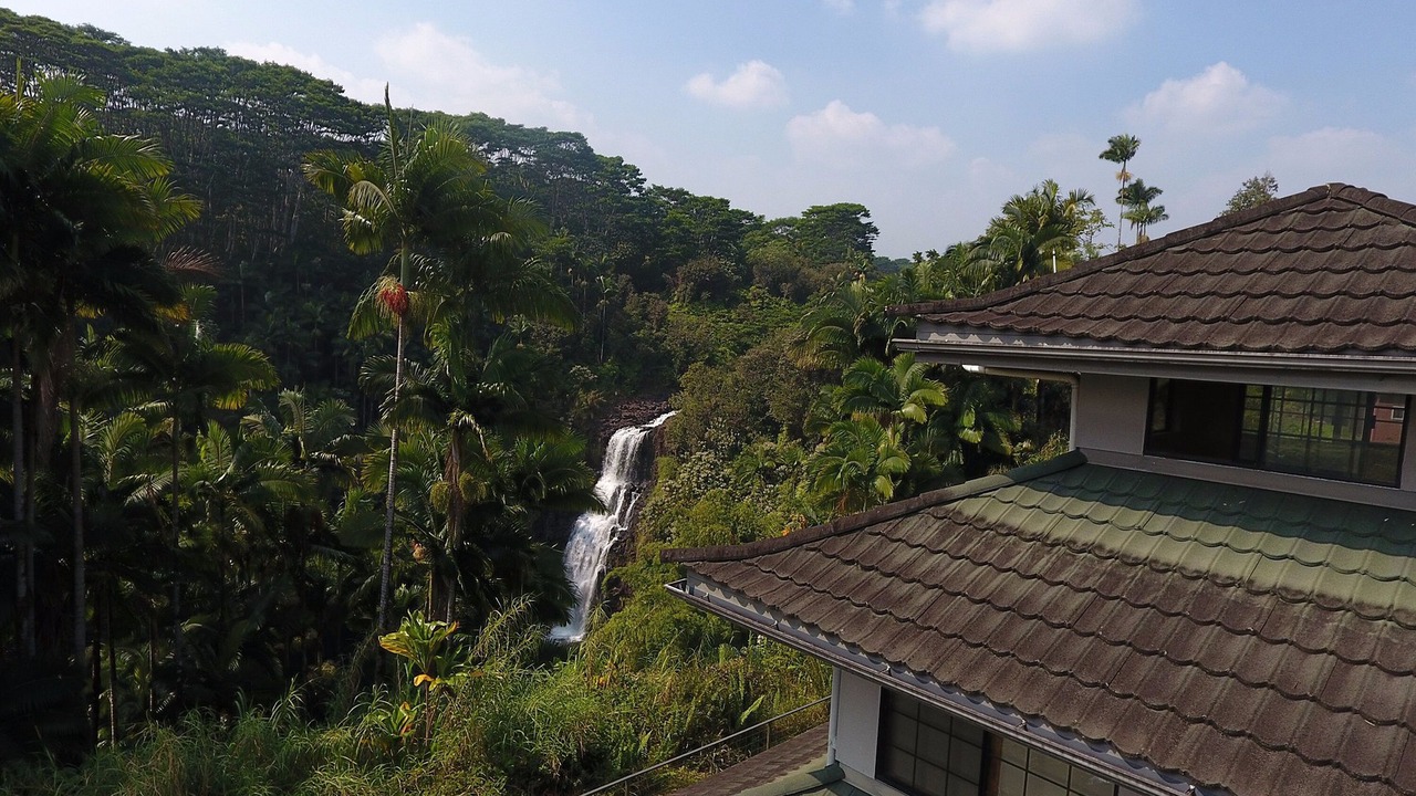 Photo of Bedroom in Hilo