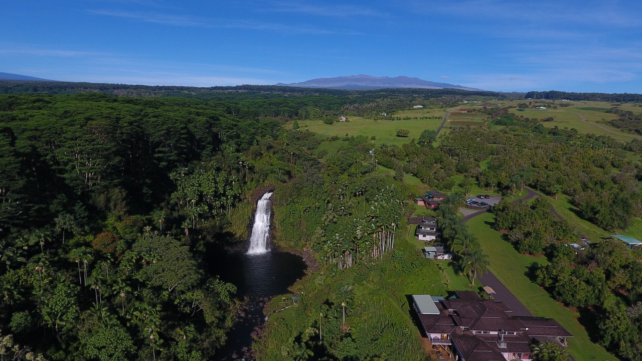 Photo of Outdoor in Hilo
