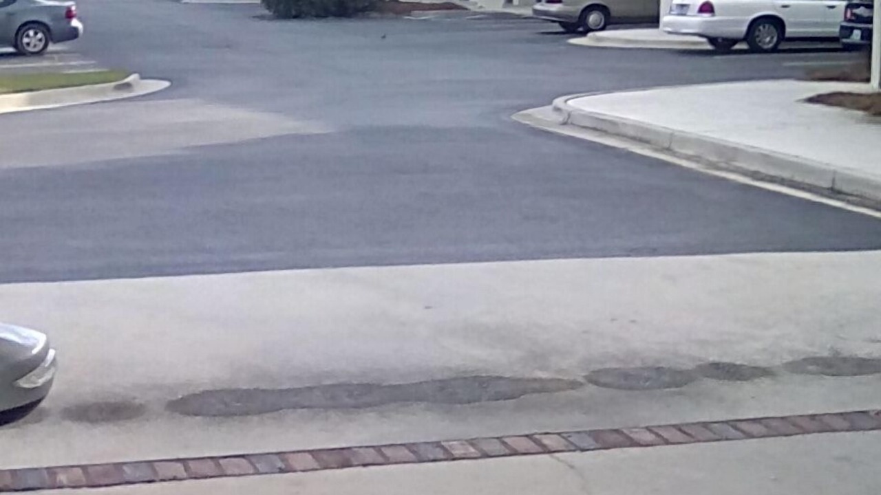 Photo of Outdoor in Metter