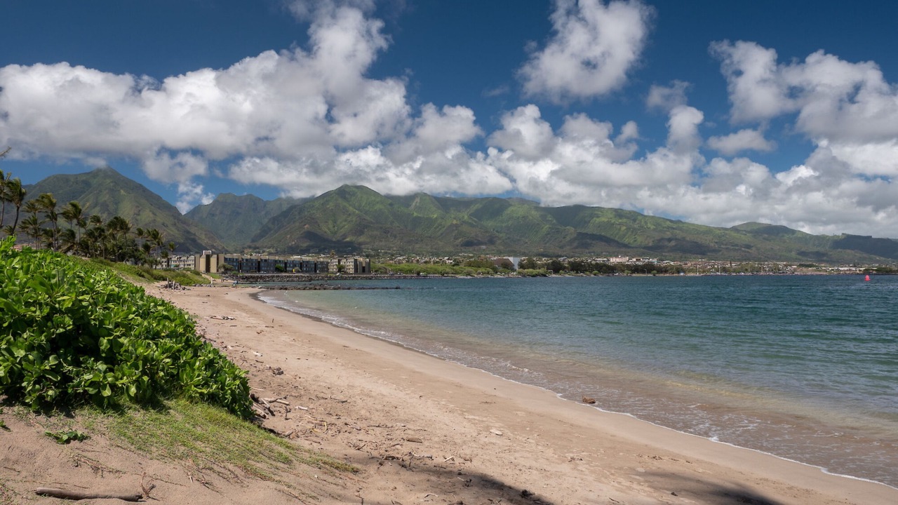 Photo of Others in Kahului