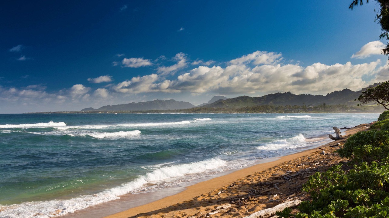 Photo of Others in Wailua