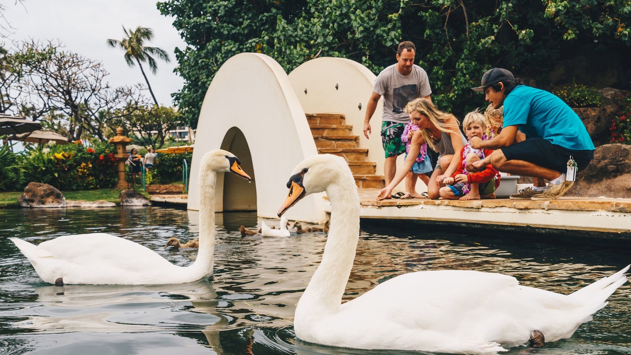 Photo of Outdoor in Kaanapali