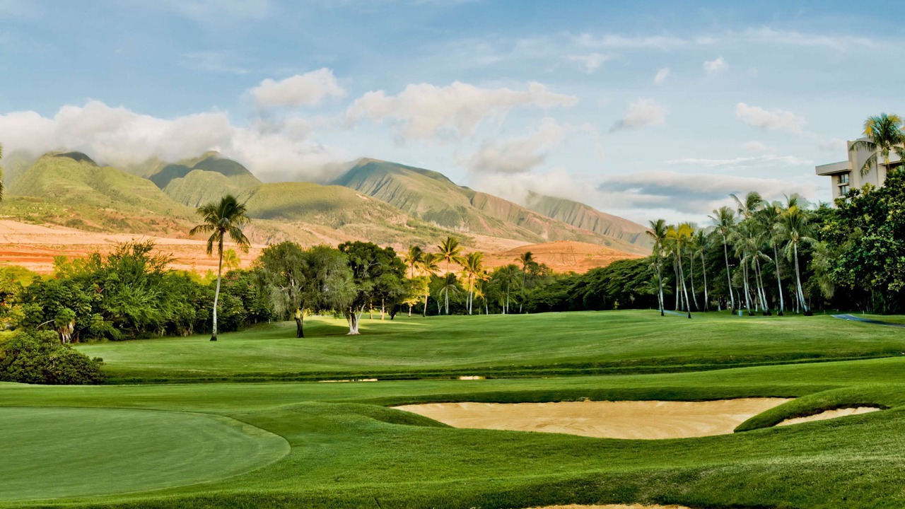 Photo of Others in Kaanapali