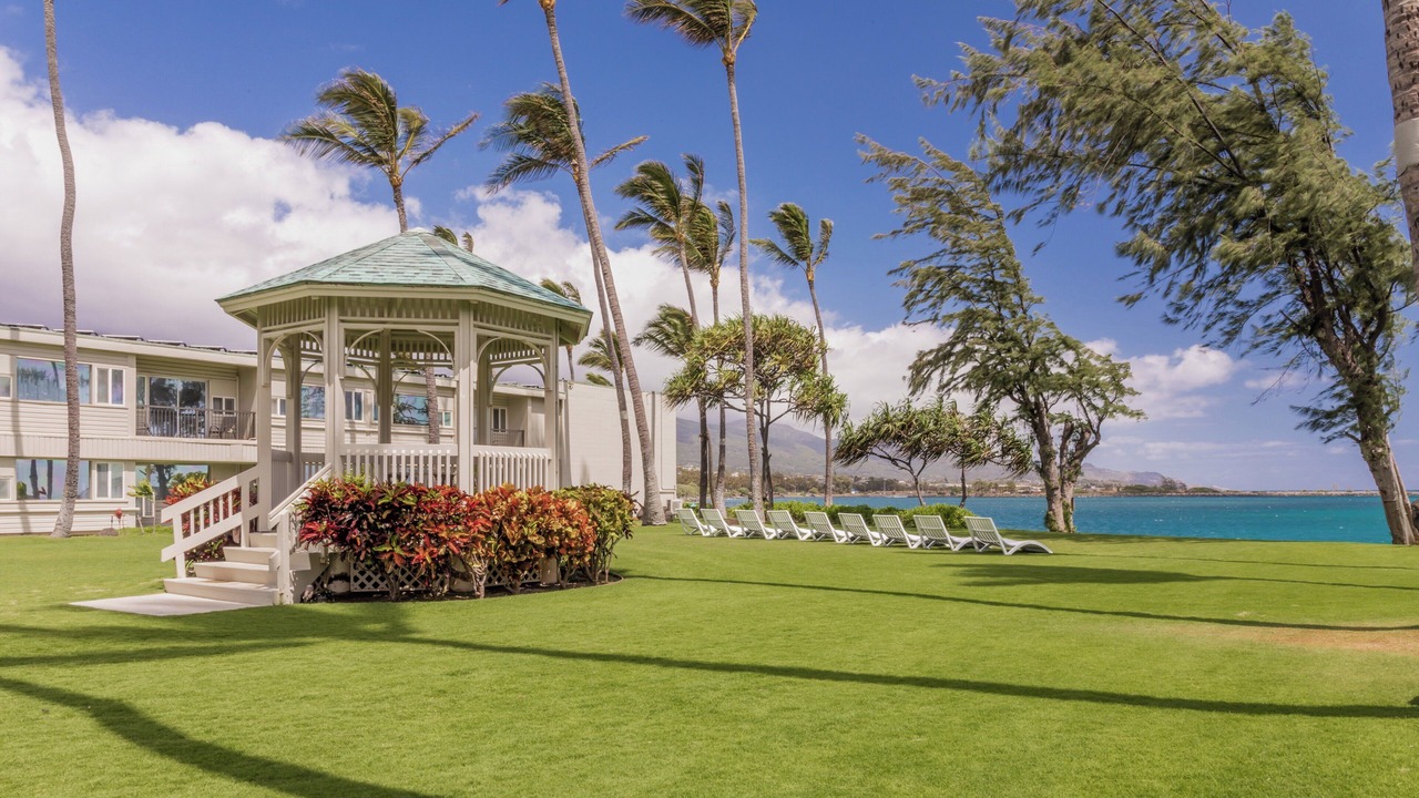 Photo of Outdoor in Kahului