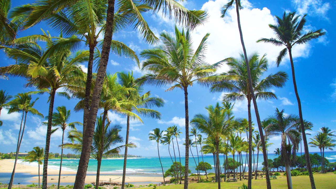 Photo of Outdoor in Lihue