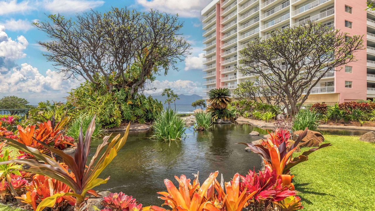 Photo of Outdoor in Honokowai