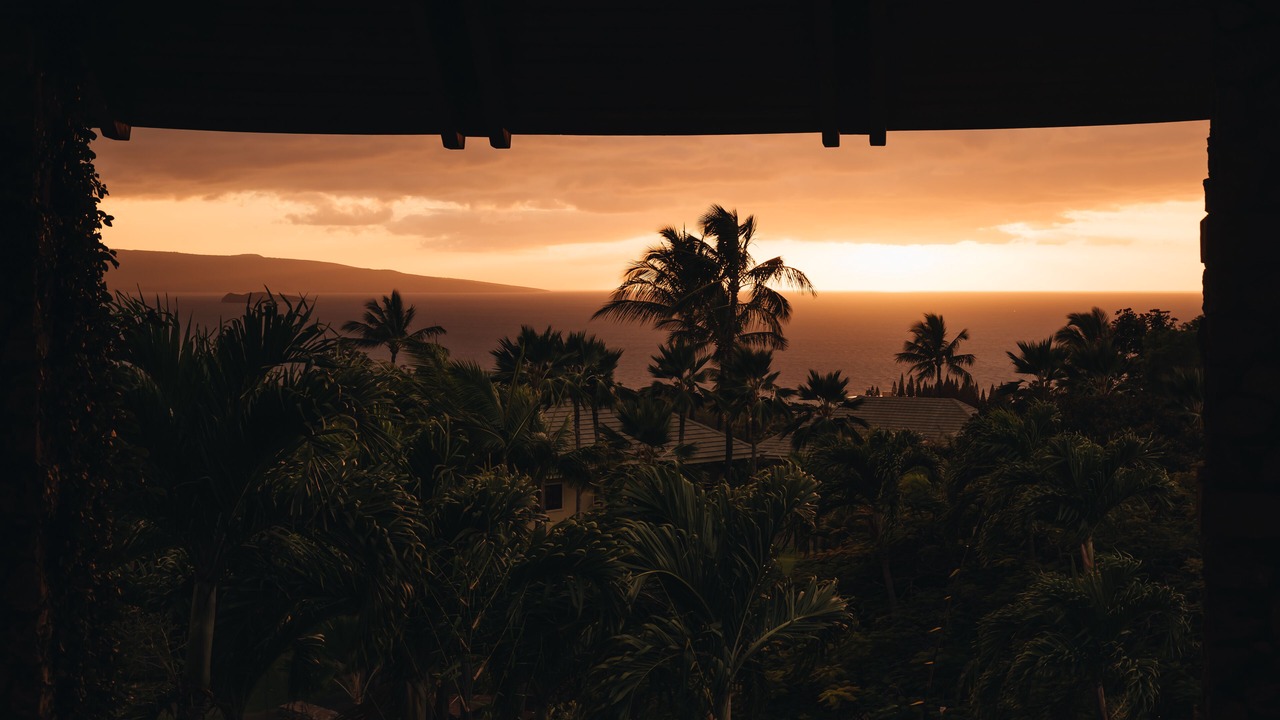 Photo of Others in Wailea