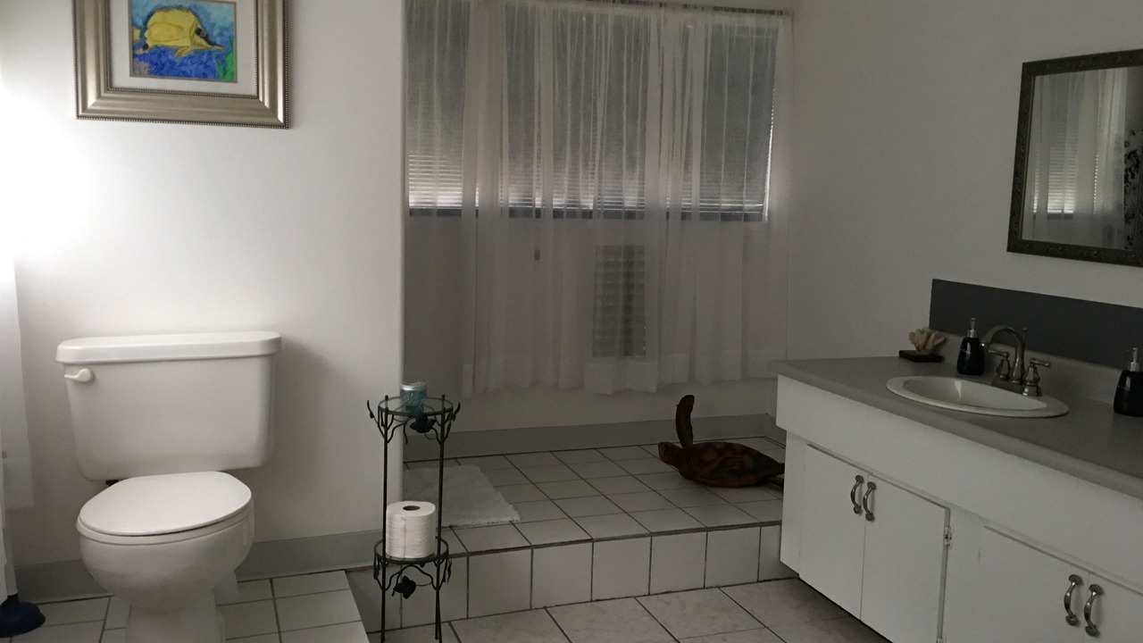 Photo of Bathroom in Naalehu