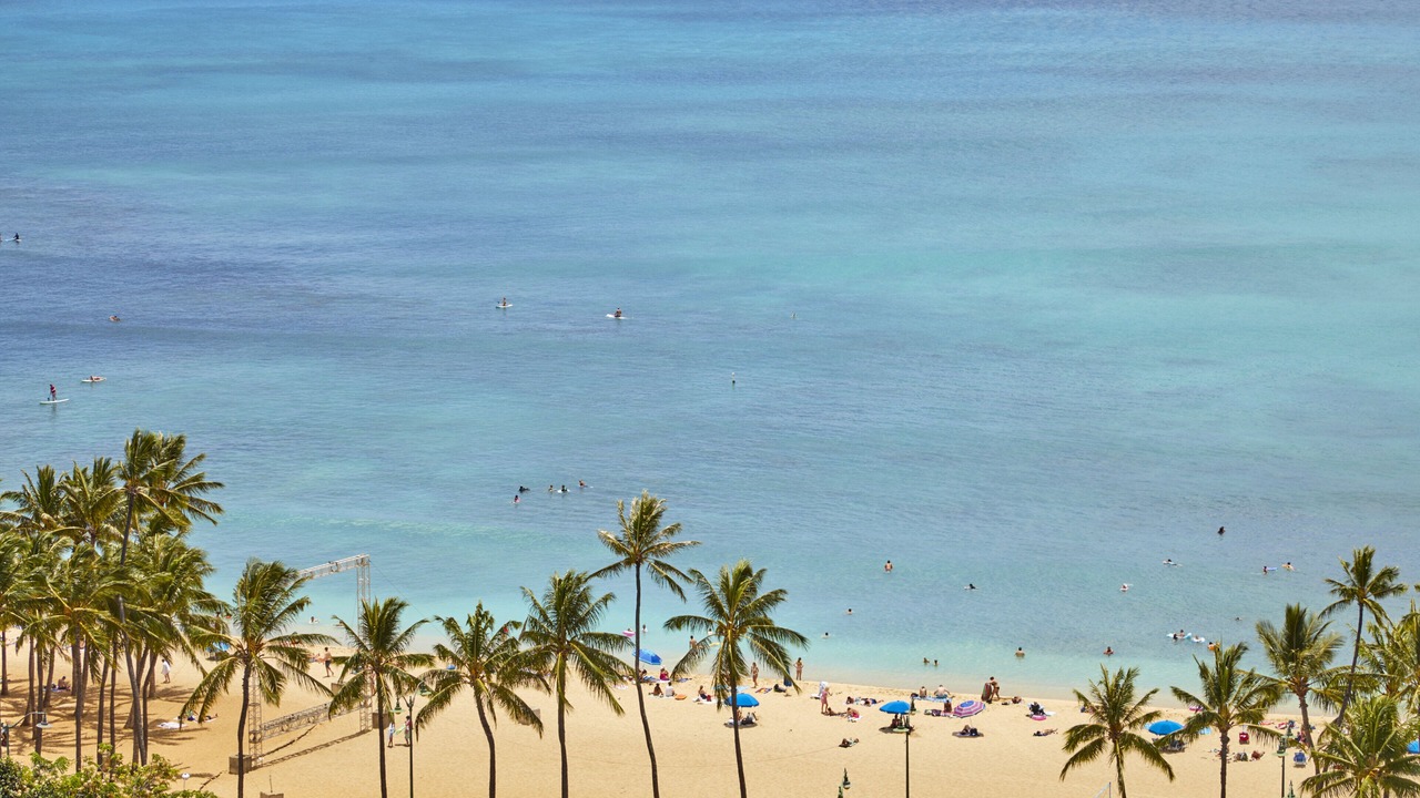 Photo of Others in Diamond Head - Kapahulu - St. Louis