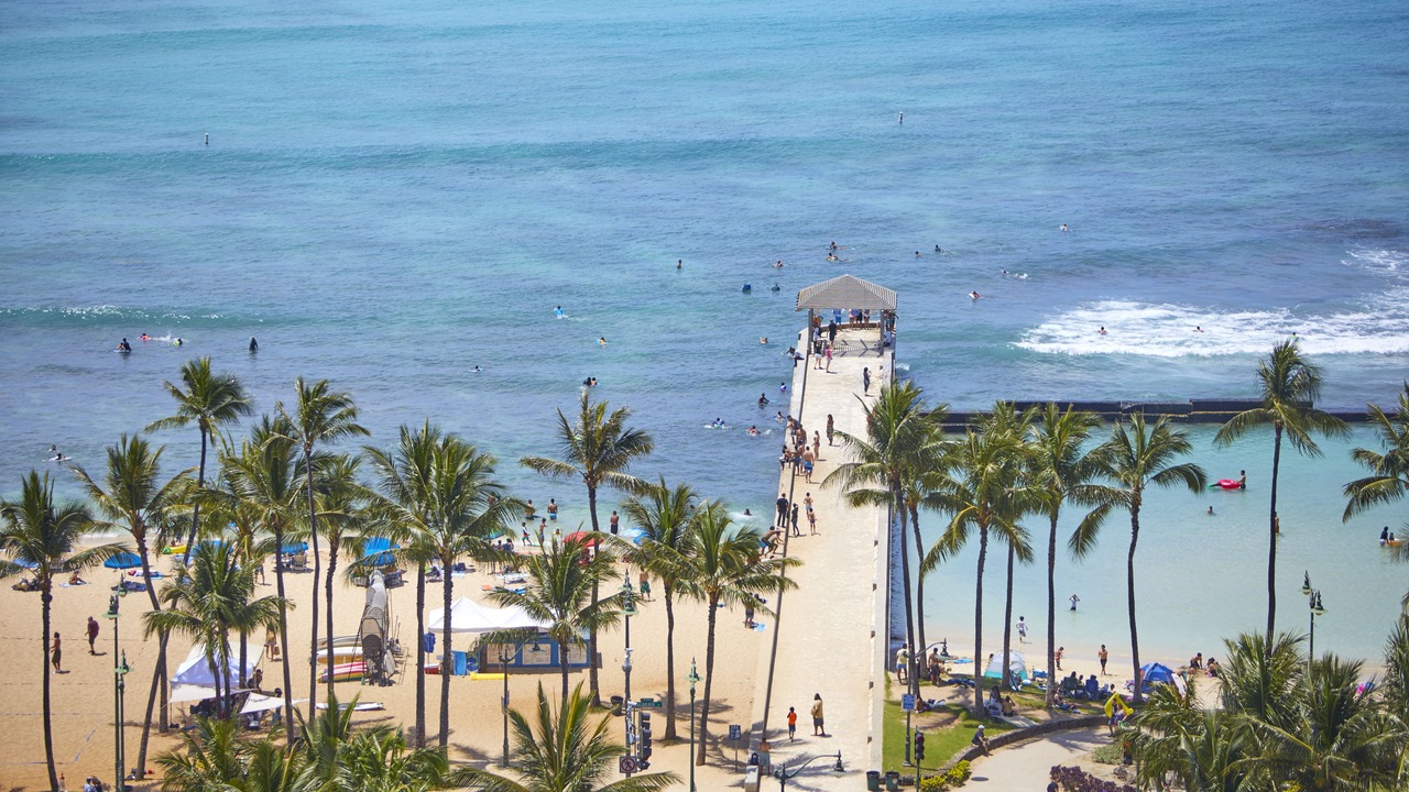 Photo of Others in Diamond Head - Kapahulu - St. Louis