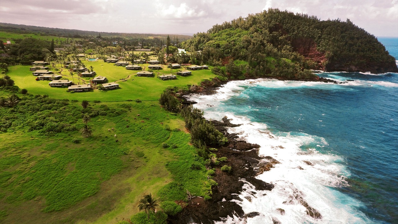 Photo of Outdoor in Hana