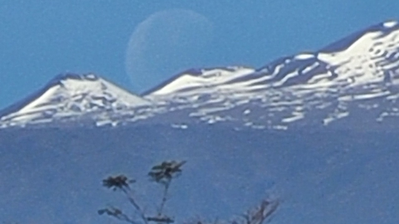 Photo of Outdoor in Papaikou