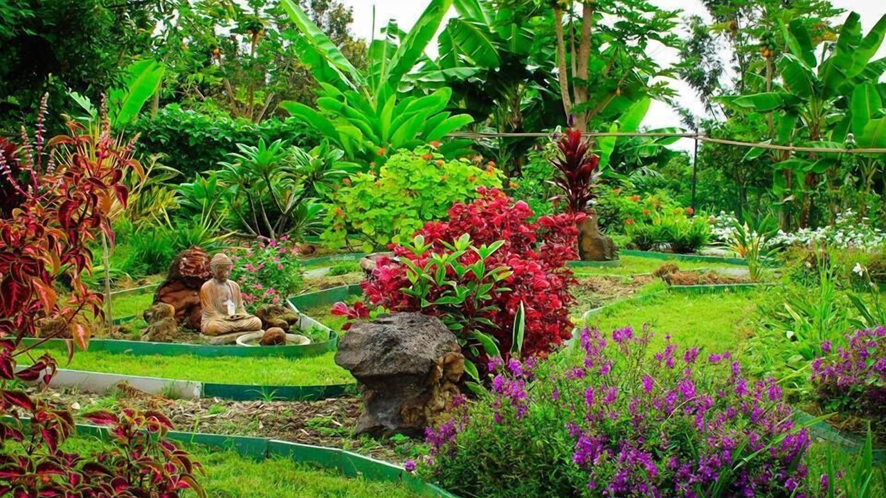Photo of Outdoor in Kalaoa