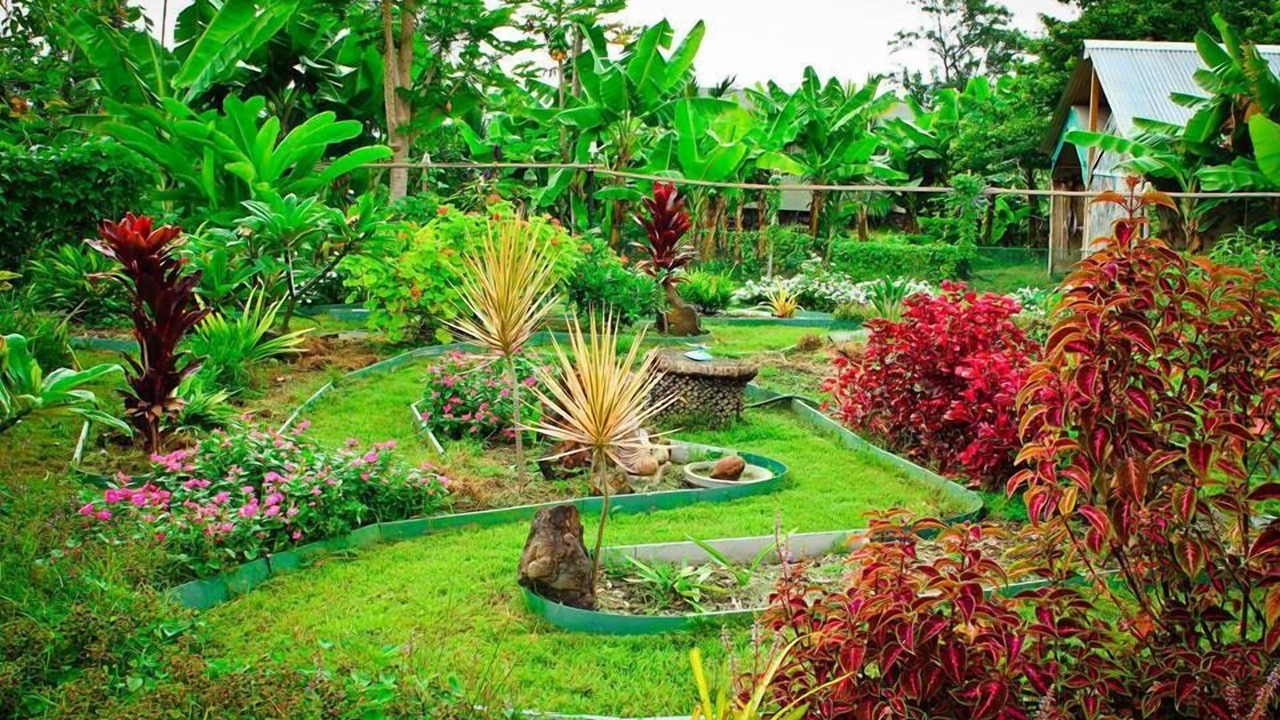 Photo of Outdoor in Kalaoa