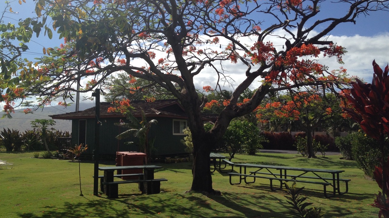Photo of Outdoor in Kihei