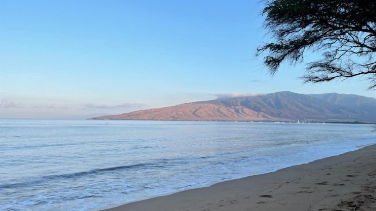 Photo of Others in Kihei