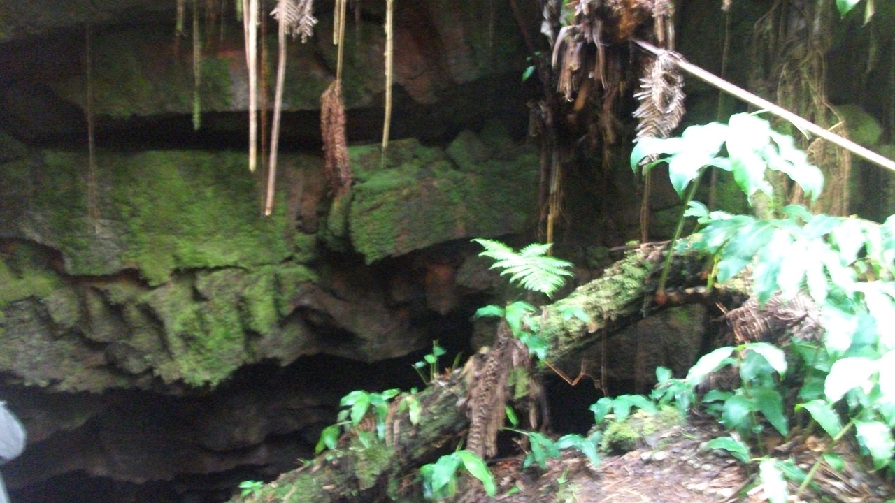 Photo of Outdoor in Volcano