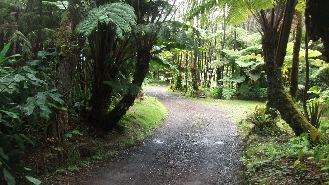 Photo of Outdoor in Volcano
