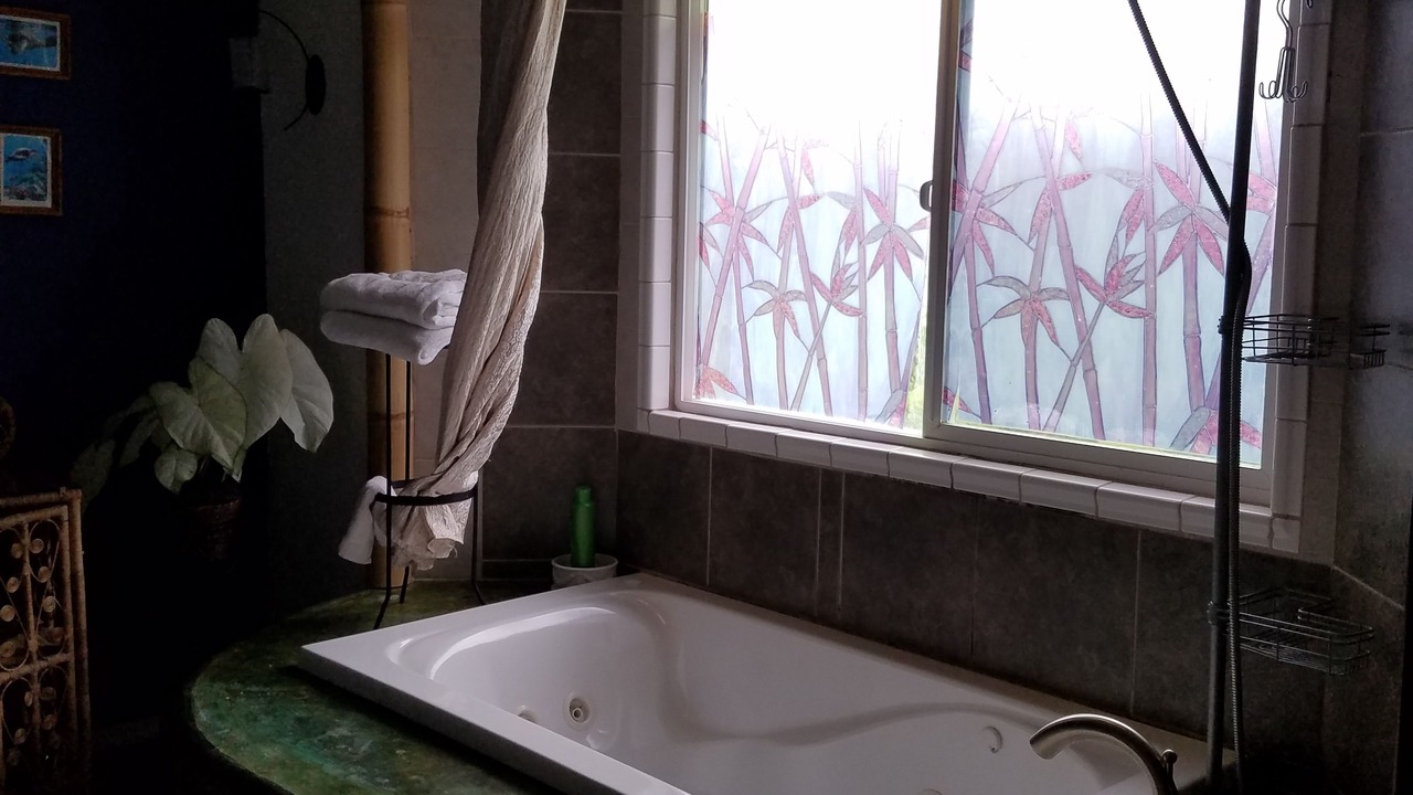 Photo of Bathroom in Volcano