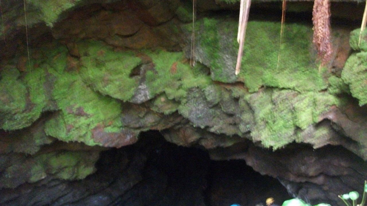 Photo of Outdoor in Volcano