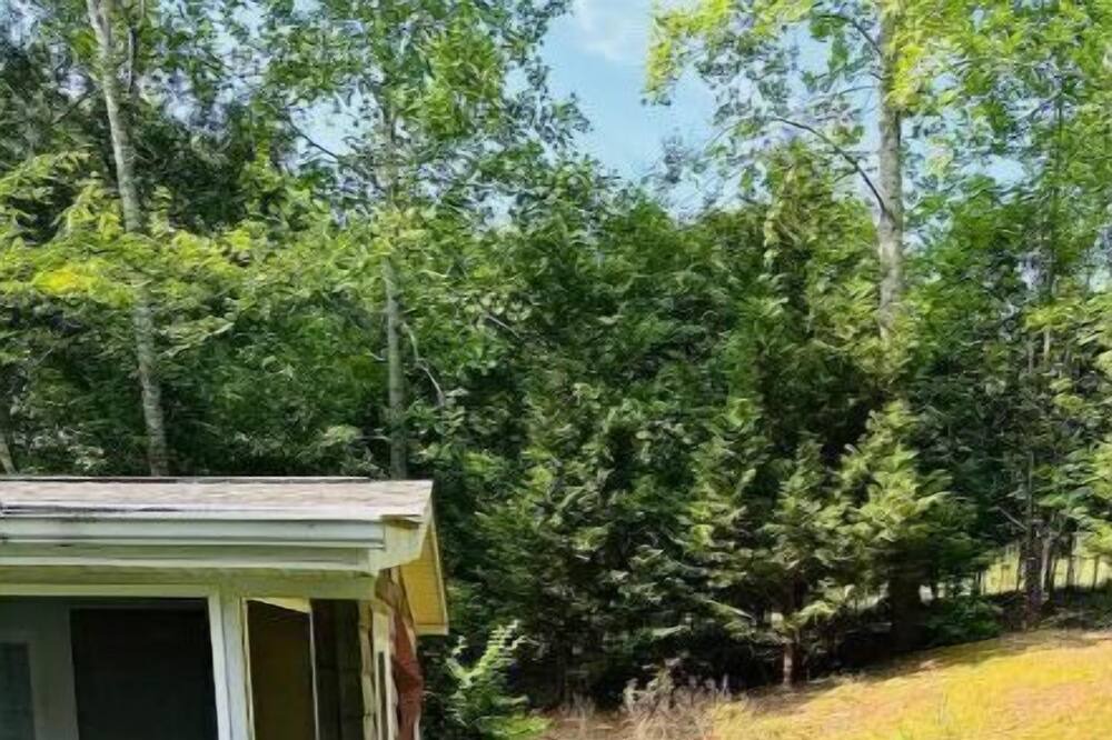 Photo of Outdoor in Townville