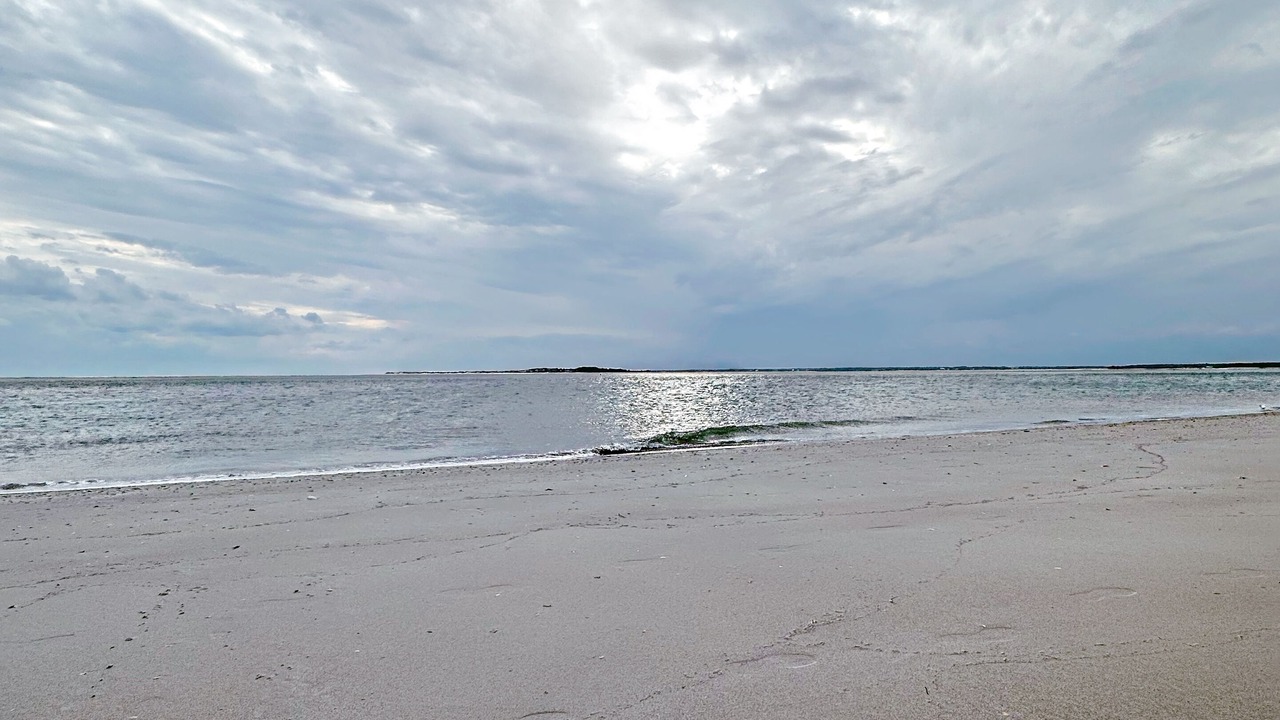 Photo of Others in The Point