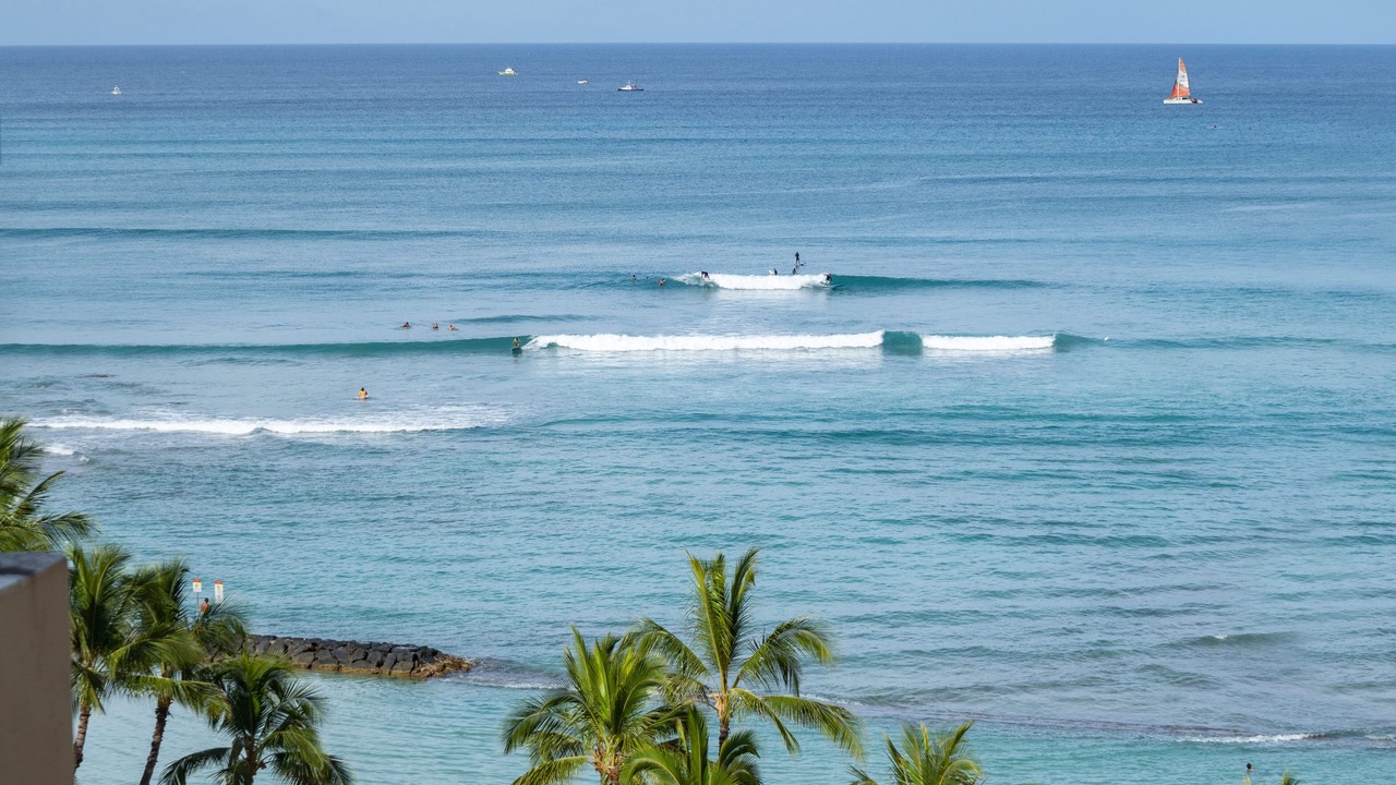 Photo of Others in Diamond Head - Kapahulu - St. Louis