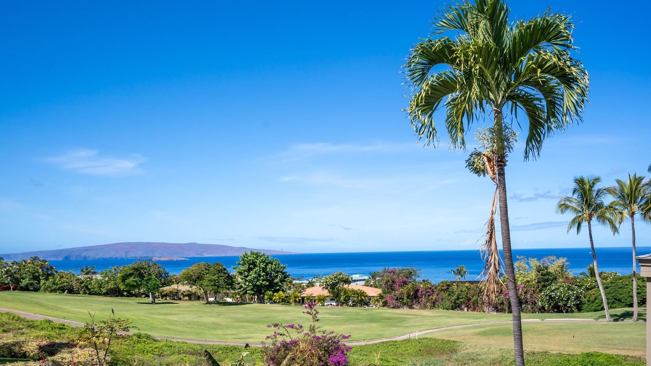 Photo of Others in Wailea