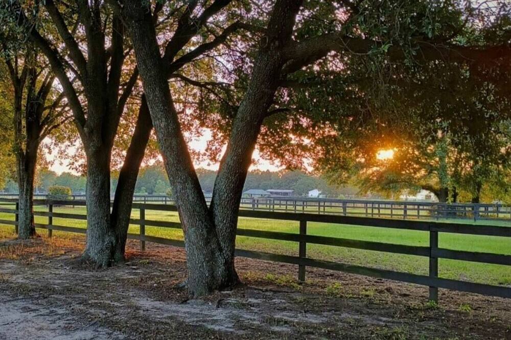 Photo of Others in Aiken