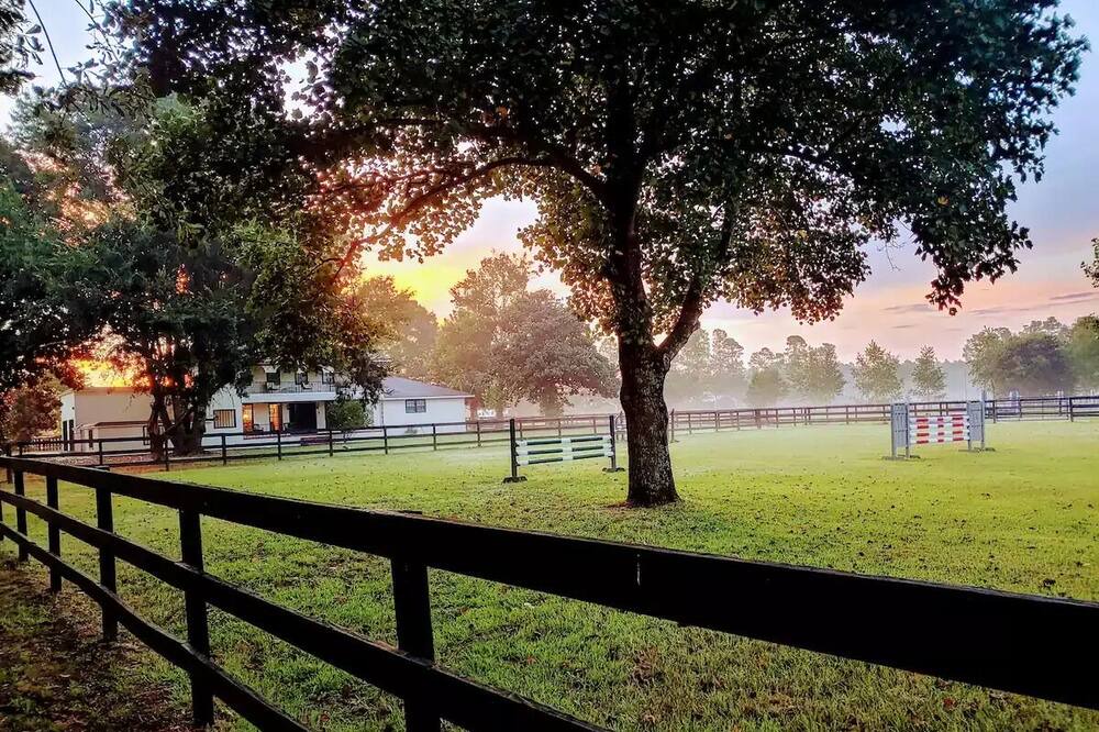 Photo of Others in Aiken