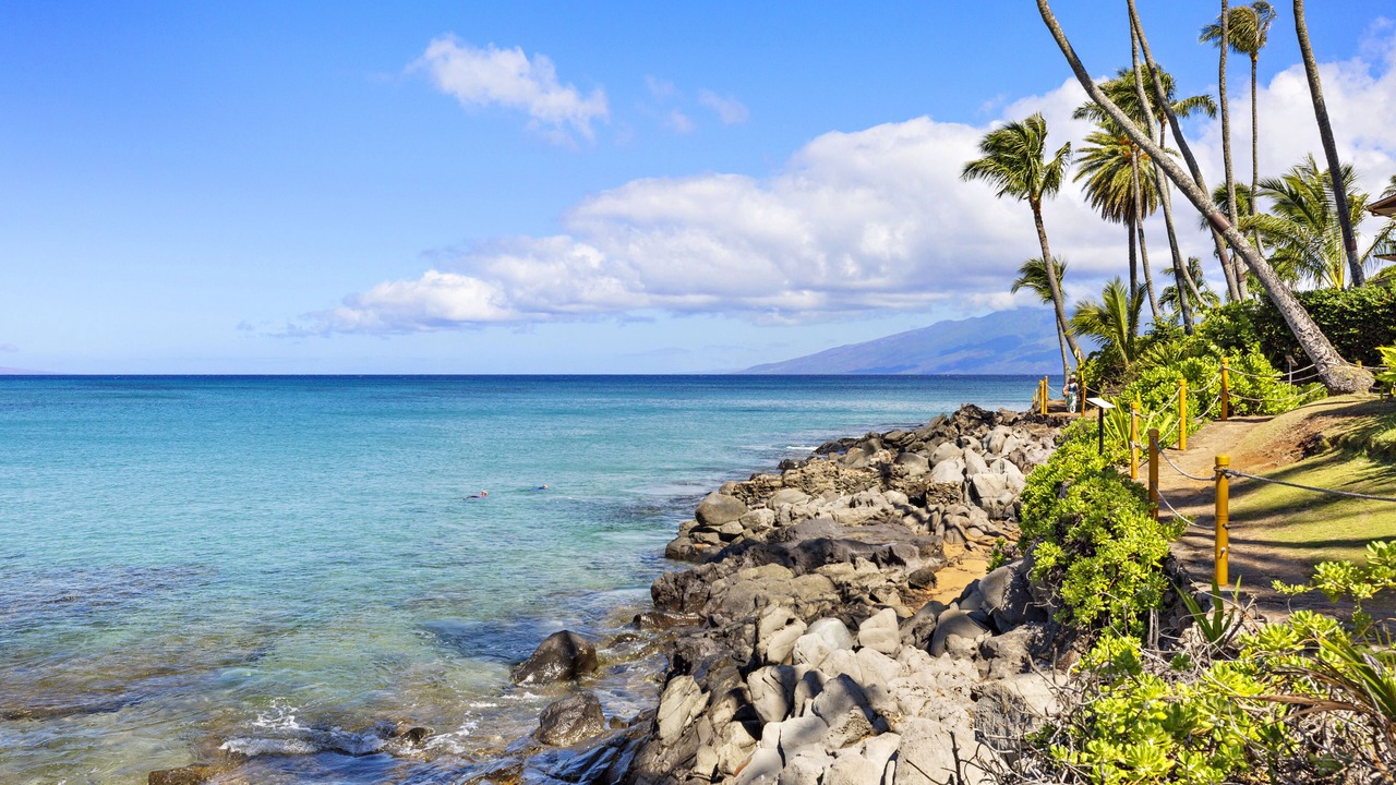 Photo of Others in Napili