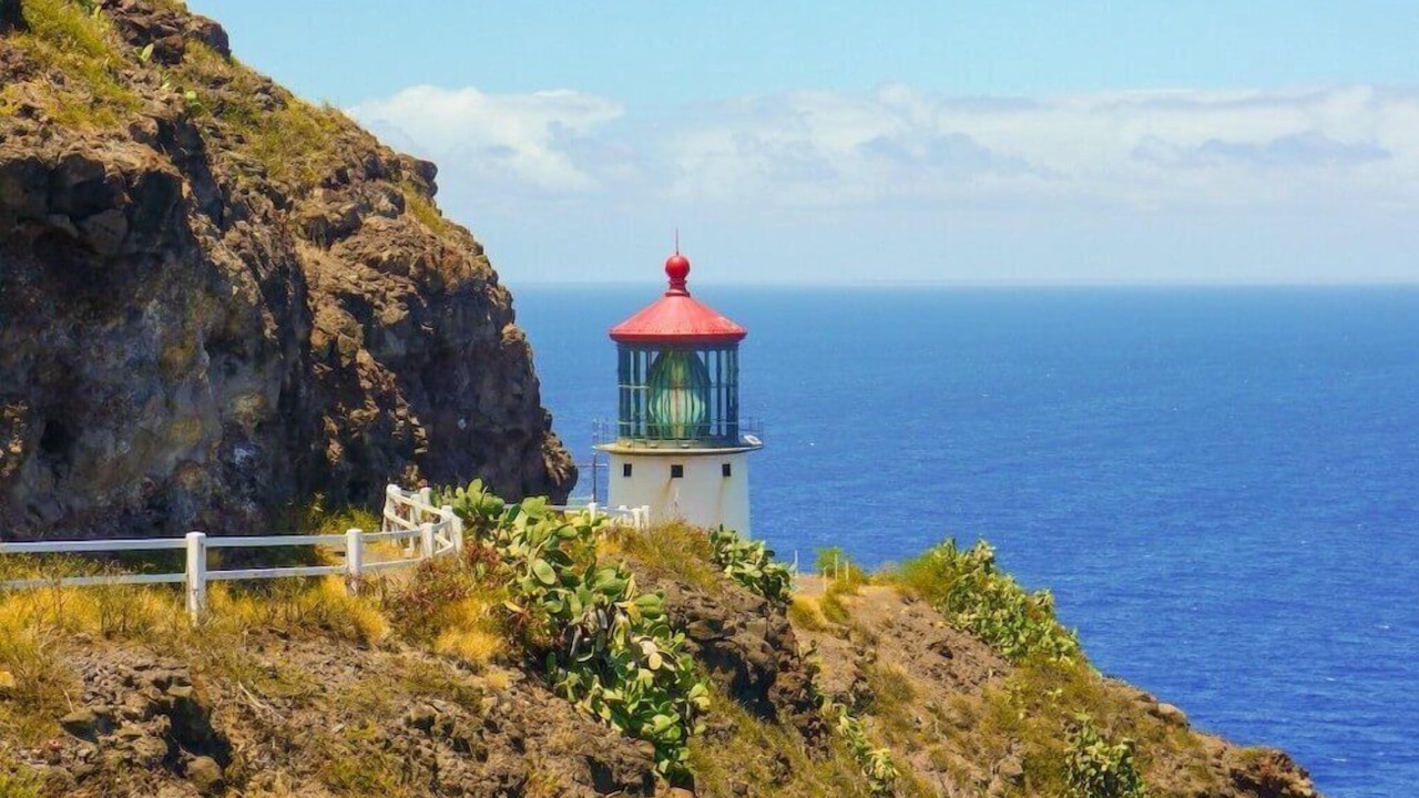 Photo of Others in Portlock