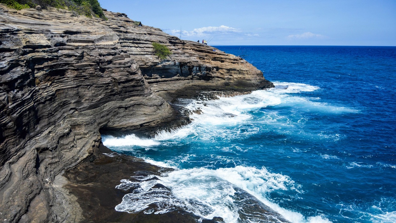 Photo of Others in Portlock